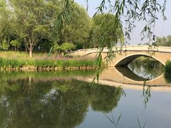 -东郊湿地公园