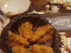 -割烹旭日本料理(龙湖狮山天街店)