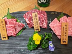 -本寻烧肉酒场(双井店)