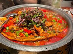 -探鱼·鲜青椒爽麻烤鱼(广州花都来又来店)