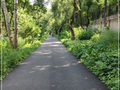 -黑龙江省森林植物园