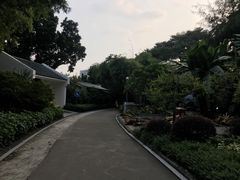-晓港公园