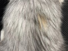 -comecome来吧宠物(奥克斯中心店)