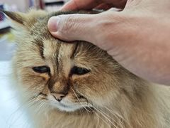 -天虹购物中心(深圳龙华店)