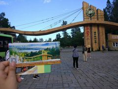 -五营红松林海景区