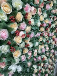 -变美丽半永久纹眉连锁·机器野生眉•洗眉