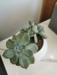 -悦颜美佳·美容·美甲美睫