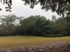 -西湖外事游船(花港观鱼码头)