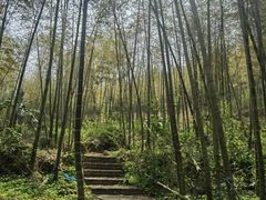 -大本营竹筒饭
