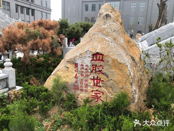 东阿百年堂阿胶图片