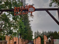 -上海长兴岛郊野公园