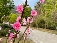 -温州永嘉书院