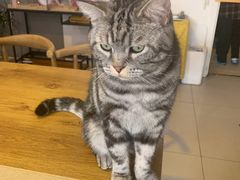 -平行世界·猫咖(首经贸店)