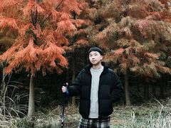 -小芝红树林