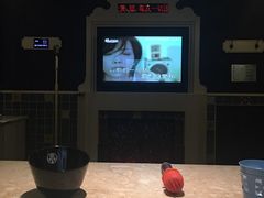 -INLOVE KTV(世博源店)
