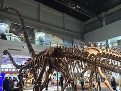 -自贡恐龙博物馆