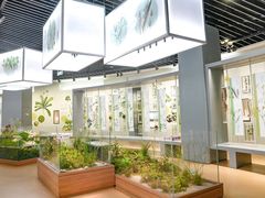 -同里国家湿地公园