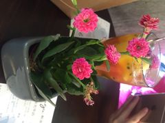 gaga鲜语(金光华店)-gaga(金光华店)