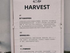 -收获咖啡HARVEST RESERVE(苍山店)
