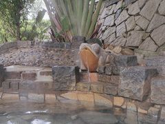 -龙佳生态温泉山庄