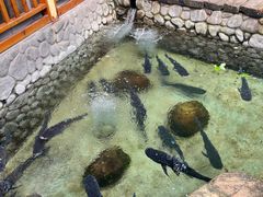 -耕渔小院·湖南鱼鲜(望城店)