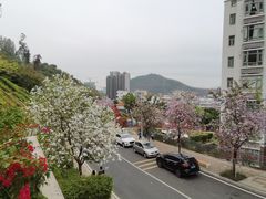 -小南山公园