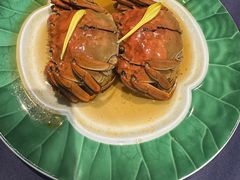 -老吉堂上海本帮菜(工体店)