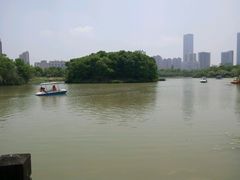 android_upload_pic-艾溪湖湿地公园