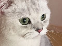 -Pets First伊珊娜洗护·精致美容·家庭式寄养(新会路店)