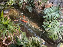 -聚缘堂·海鲜私房菜(松岭路店)