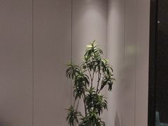-东方威尼斯温泉酒店