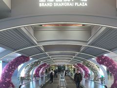 -上海浦东国际机场-T2航站楼