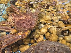 -顺风山庄(水濂山店)