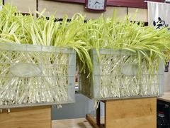 -尤素福东举院饺子馆