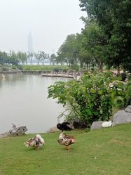-玄武湖景区-情侣园游乐场