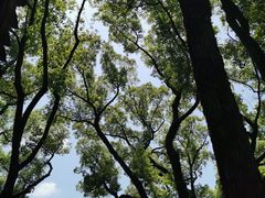 -天一阁博物院
