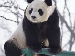 -天津市动物园