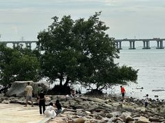 -宝安西湾红树林湿地公园