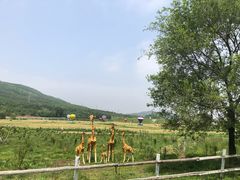 -大连铭湖国际观光牧场