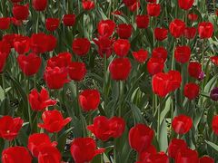 -长春公园(普阳街道)