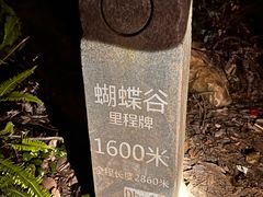 -梧桐山风景名胜区