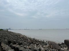 -上海滨江森林公园
