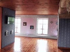 -金山农民画村-枫泾波兰倒置屋