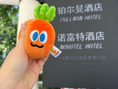 -广州白云机场铂尔曼大酒店·恬园创意中餐厅