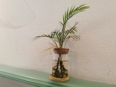 -红小满休闲餐厅(十全街店)