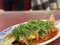 -老字号怡玺·藿香雅鱼(20年雅安店)