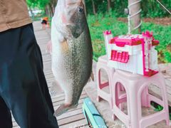 -新怡路亚垂钓园