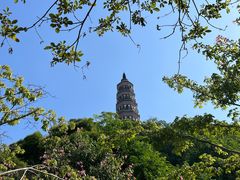 -顺峰山公园