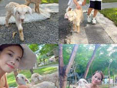-云栖山谷野奢营地
