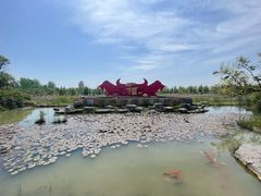 -泗洪洪泽湖湿地景区